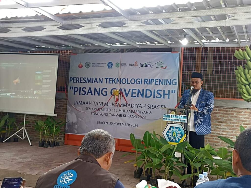 peresmian ripening pisang cavendish mpm sragen jatam, dan astra